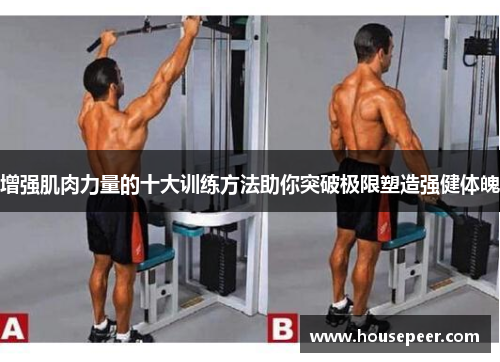 增强肌肉力量的十大训练方法助你突破极限塑造强健体魄