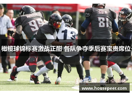橄榄球锦标赛激战正酣 各队争夺季后赛宝贵席位