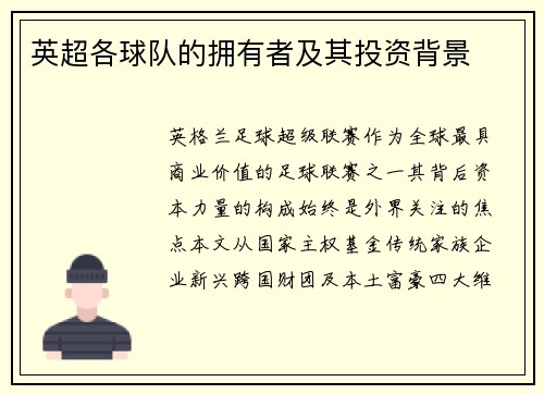 英超各球队的拥有者及其投资背景