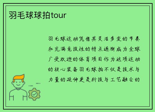 羽毛球球拍tour